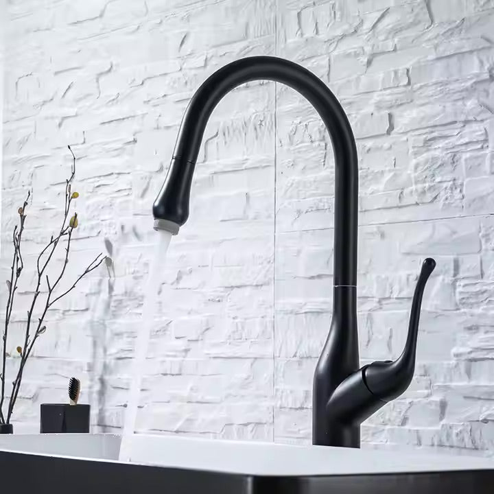 Zeyno Pull-Down Kitchen Faucet