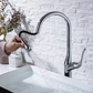 Zeyno Pull-Down Kitchen Faucet