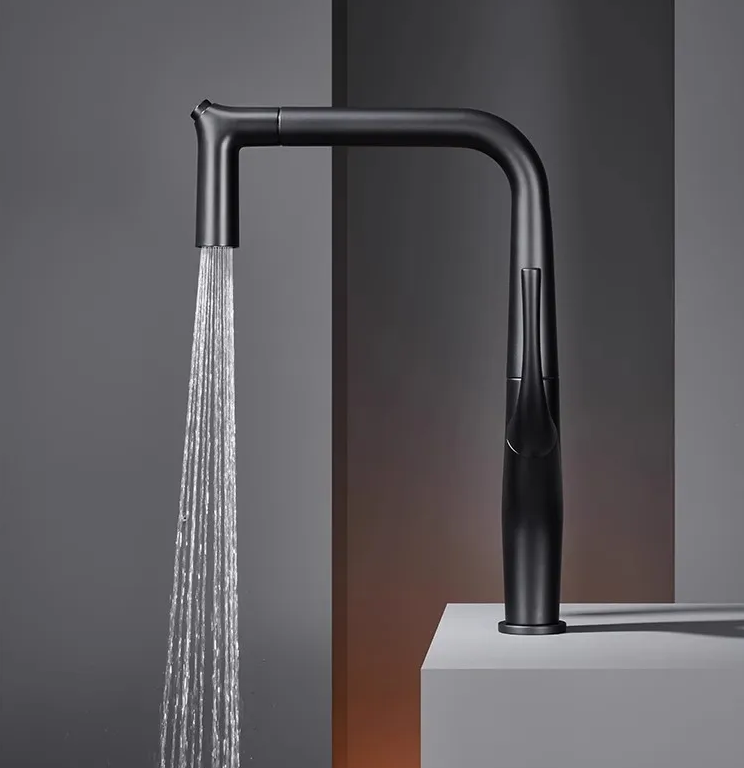 Crane Arch Pull Out Kitchen Faucet