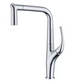 Crane Arch Pull Out Kitchen Faucet