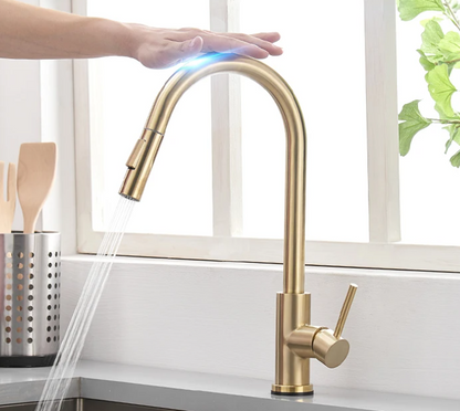 Zenith Touchless High Arch Faucet