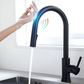 Zenith Touchless High Arch Faucet