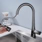 NovaLux Digital LED Luxury Kitchen Faucet