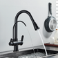 Lilia Touchless Luxury Kitchen Faucet with Water Filter Spout